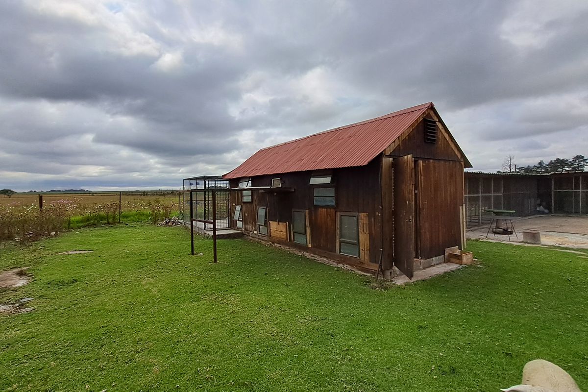 Spacious 1.8 Hectare Smallholding – Endless Potential for Country Living - Photo 3