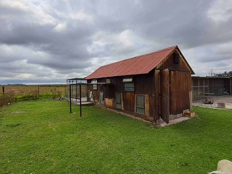 Spacious 1.8 Hectare Smallholding – Endless Potential for Country Living - Photo 3
