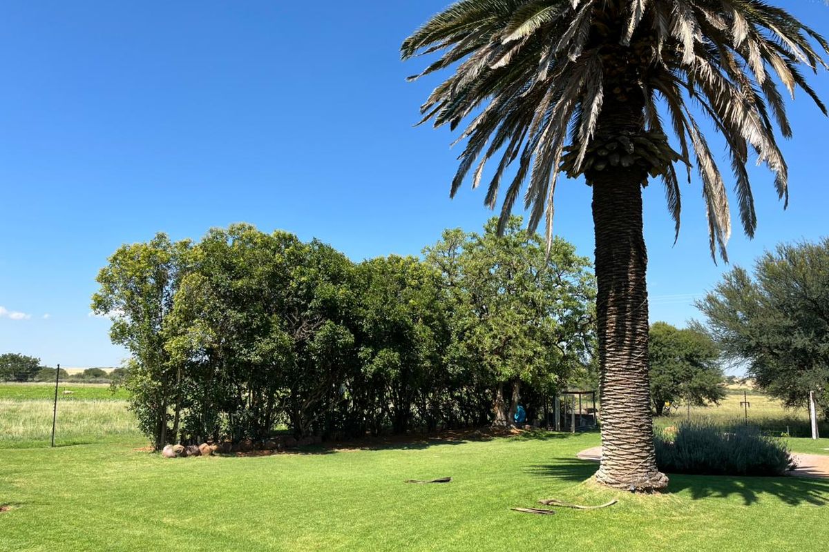 Perfekte Leefstylplasie! - Photo 5