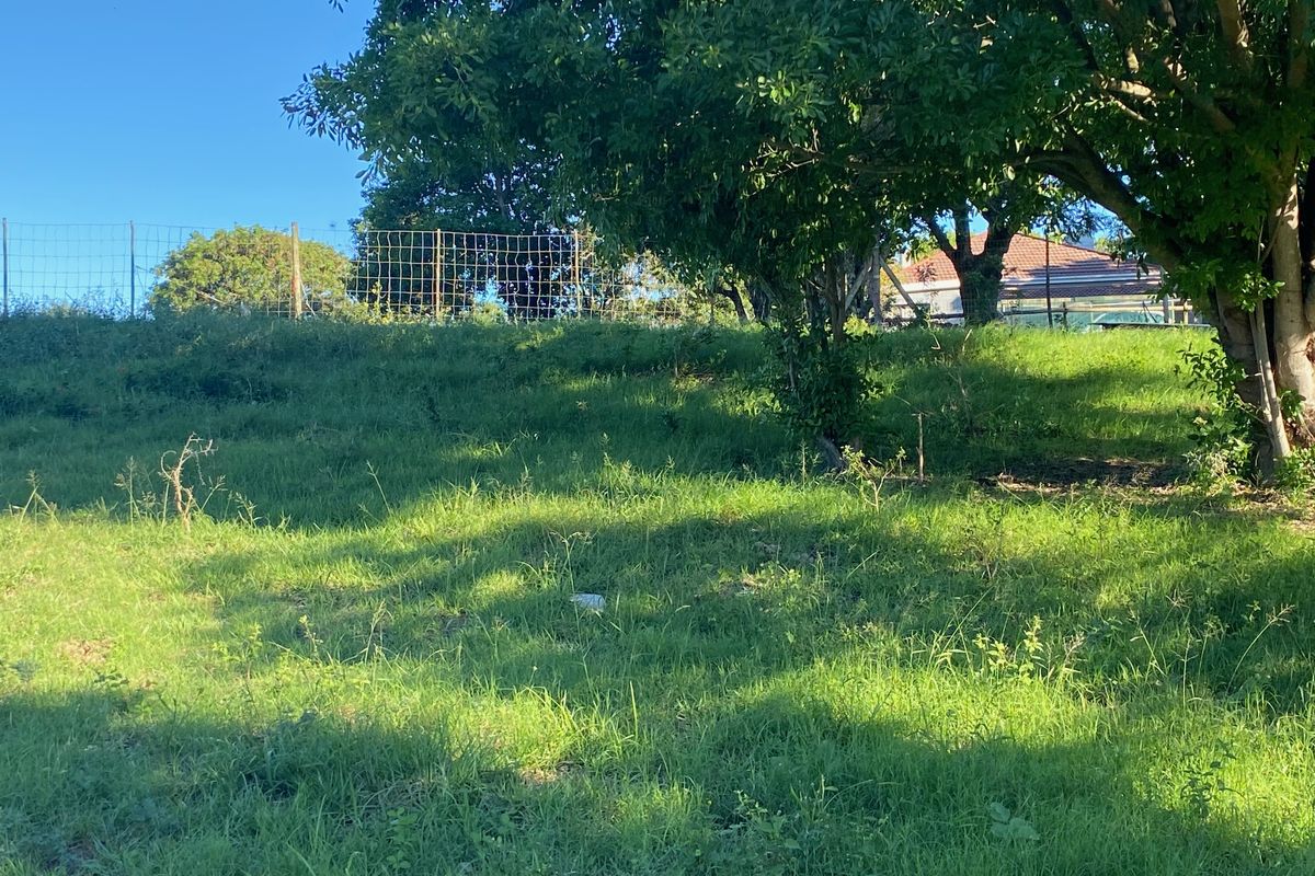 Bathurst Property with small cabin for sale. - Photo 3