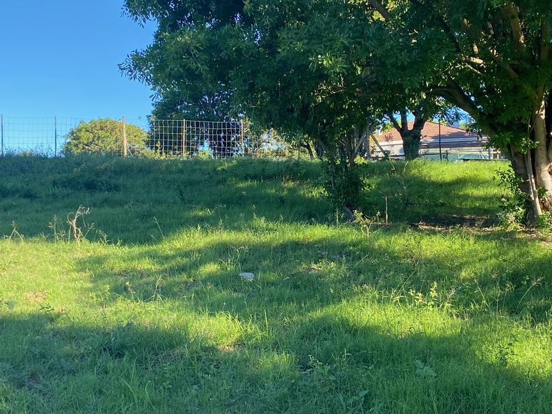 Bathurst Property with small cabin for sale. - Photo 3