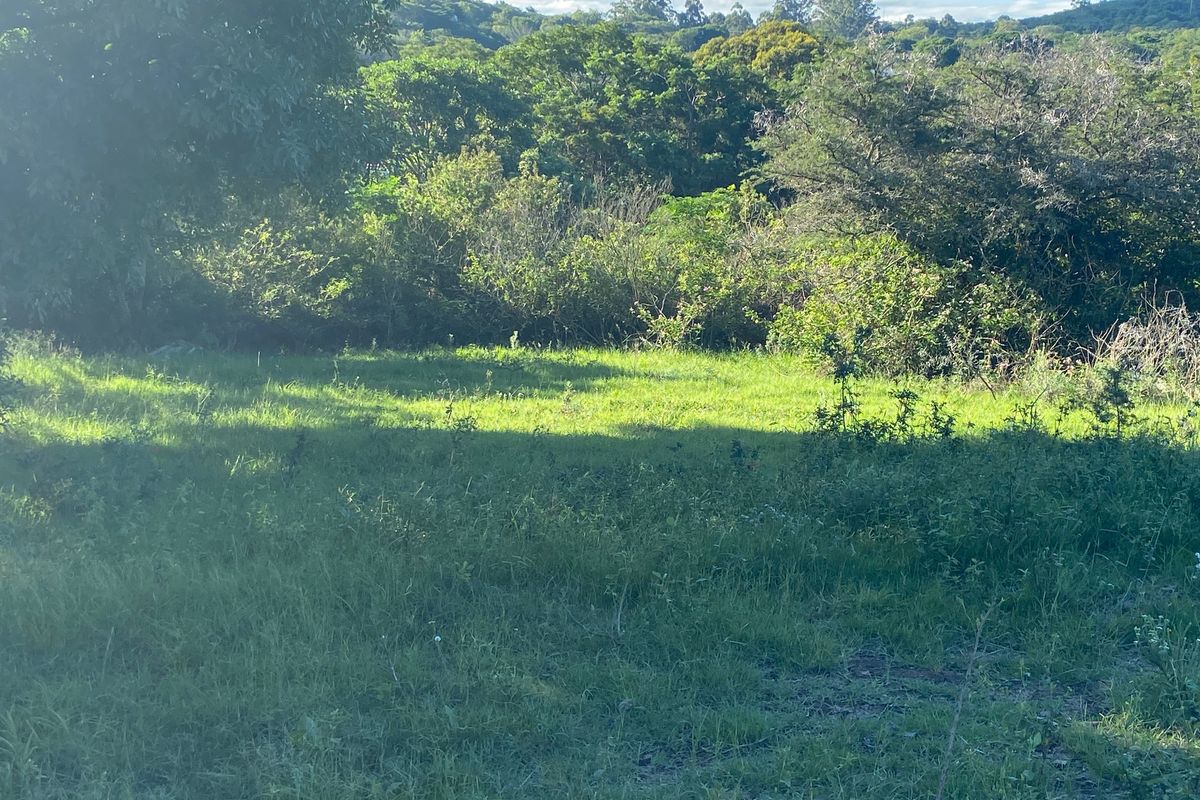 Bathurst Property with small cabin for sale. - Photo 4