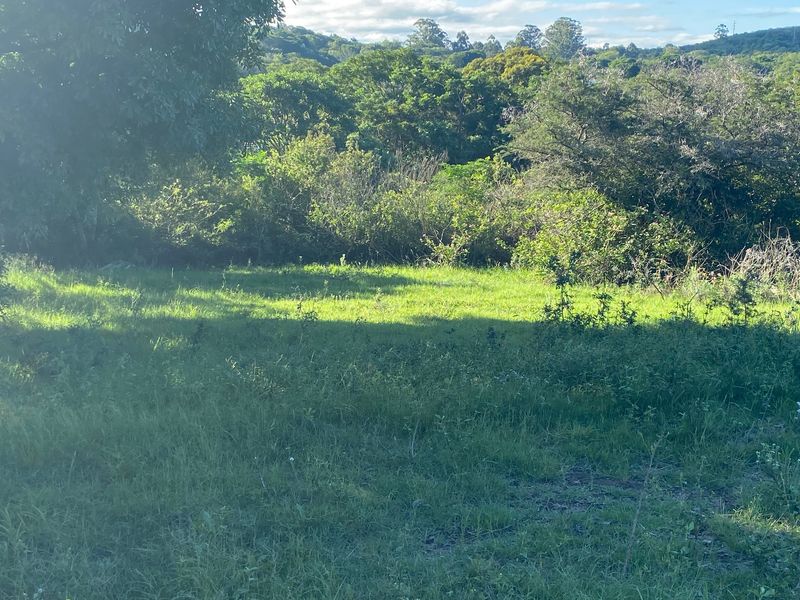 Bathurst Property with small cabin for sale. - Photo 4