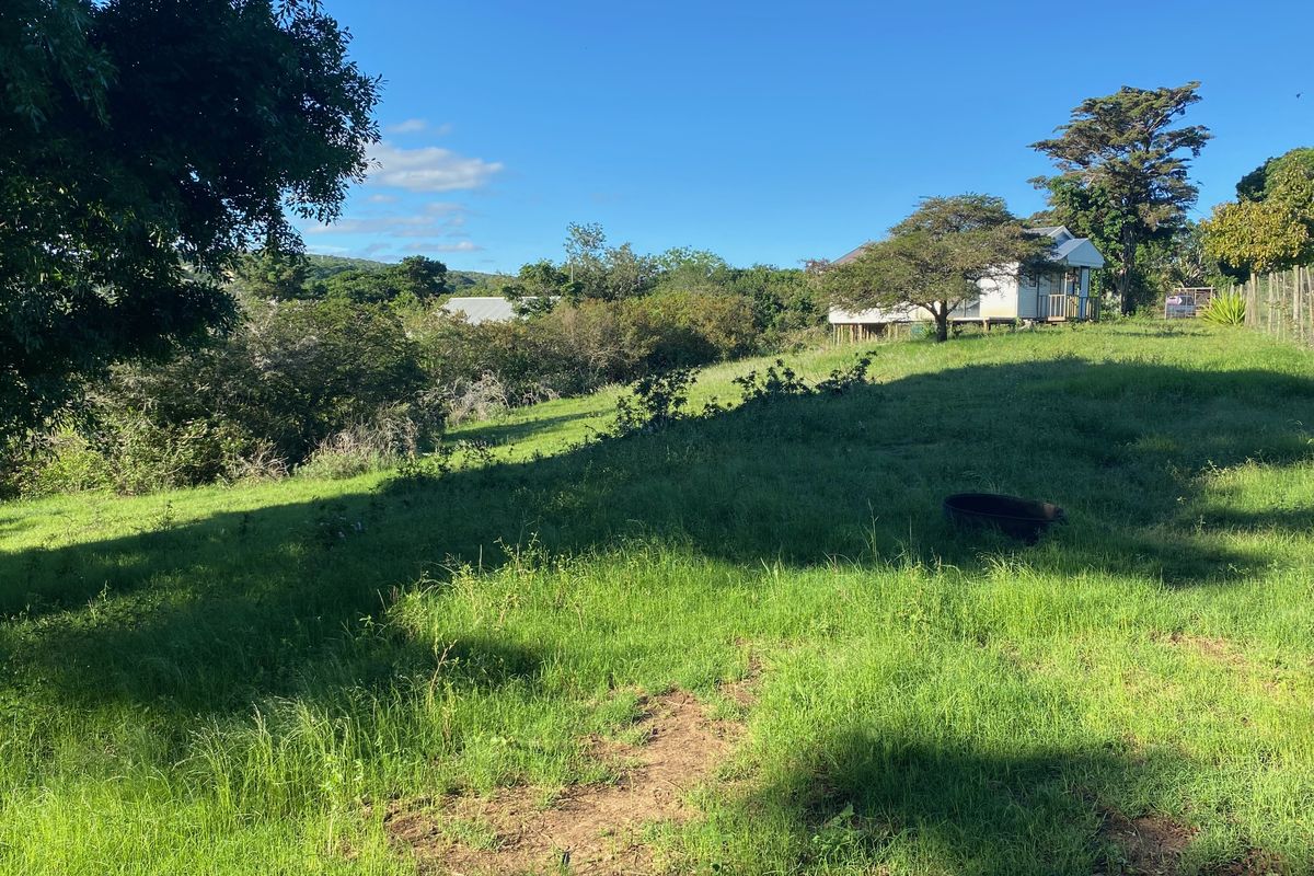 Bathurst Property with small cabin for sale. - Photo 2