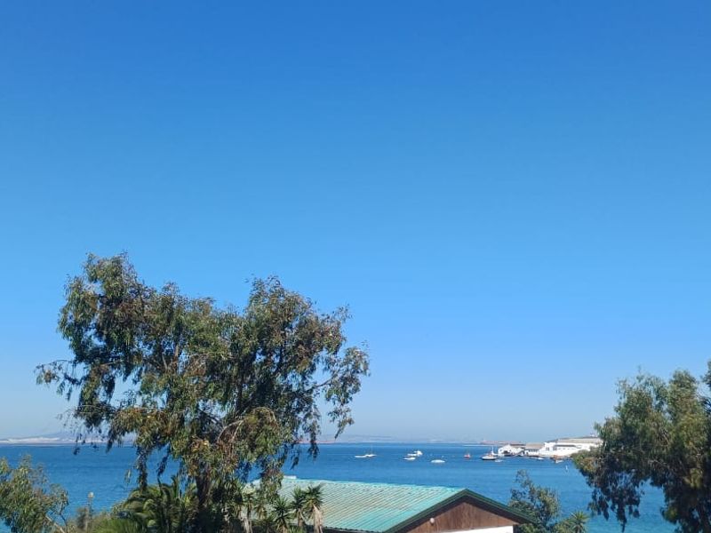 A scenic view overlooking the water, featuring mature trees and a glimpse of the coastline under a clear blue sky.