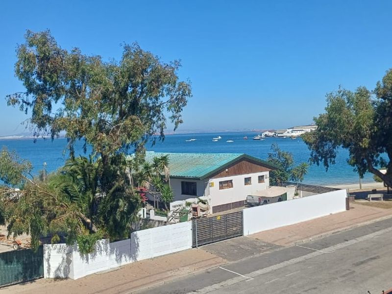 An elevated coastal view overlooking the ocean, surrounding neighborhood, and mature trees.