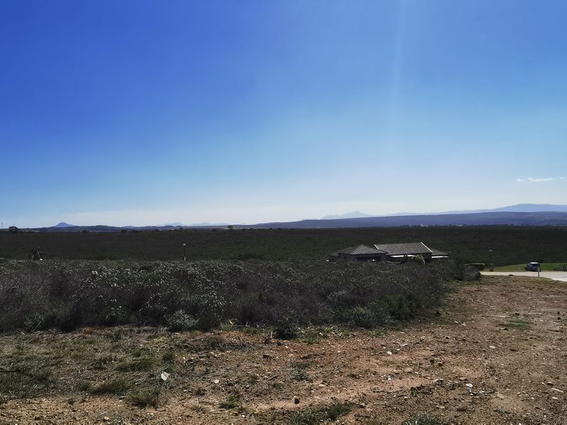 Vacant Stand with Sea, Lagoon & Mountain Views – Blue Water Estate, Jeffreys Bay - Photo 3