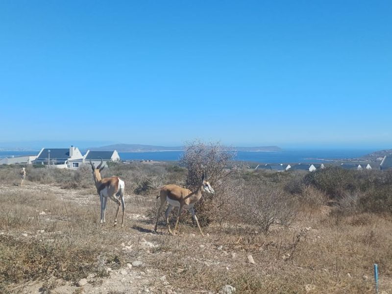 Saldanha Hoogland - uninterrupted views - Photo 3