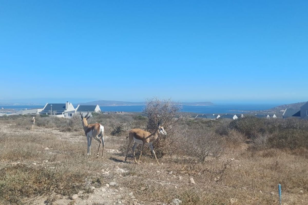 Saldanha Hoogland - uninterrupted views - Photo 3