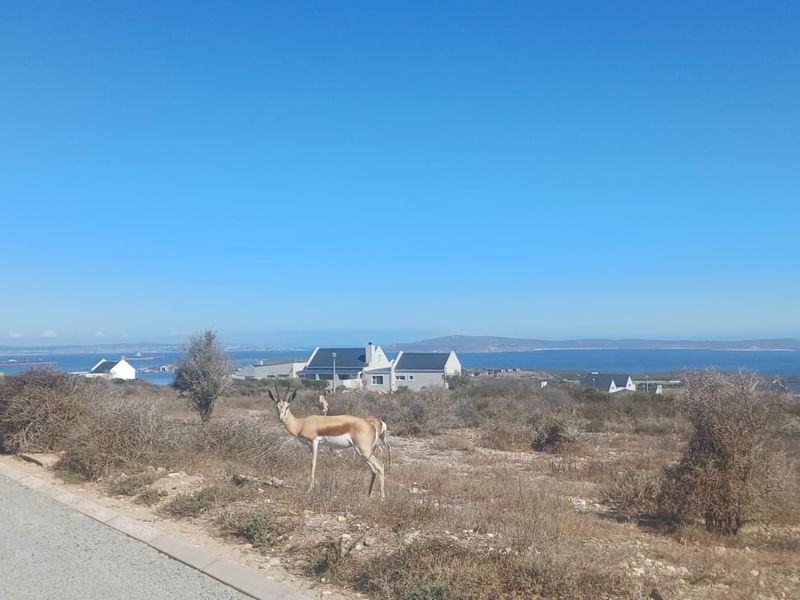 Saldanha Hoogland - uninterrupted views - Photo 4