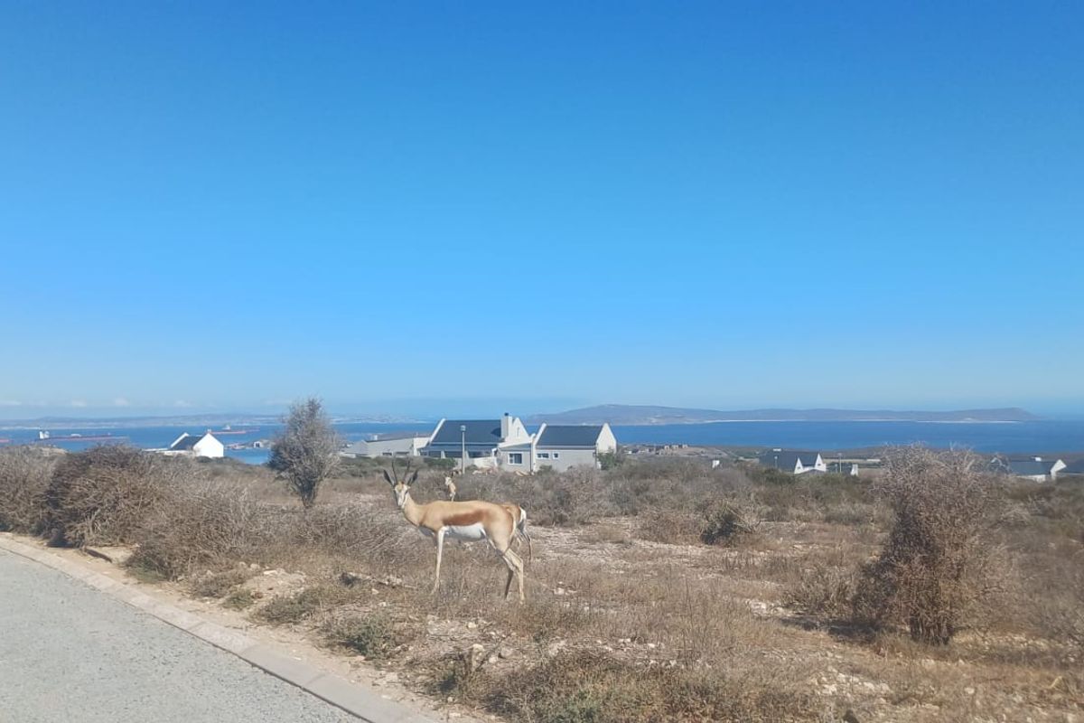 Saldanha Hoogland - uninterrupted views - Photo 4