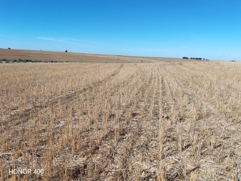 Hopefield: 3 Aangrensende plase te koop per Tender - Photo 3