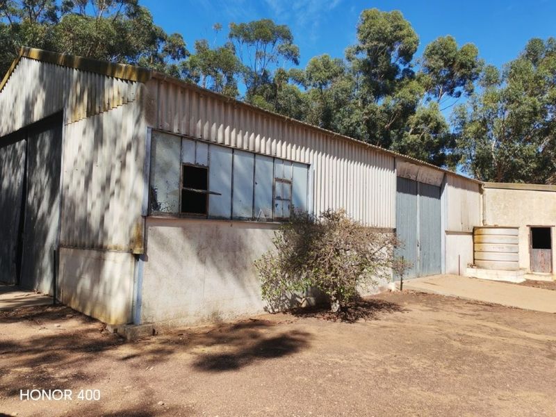 Hopefield: 3 Aangrensende plase te koop per Tender - Photo 8