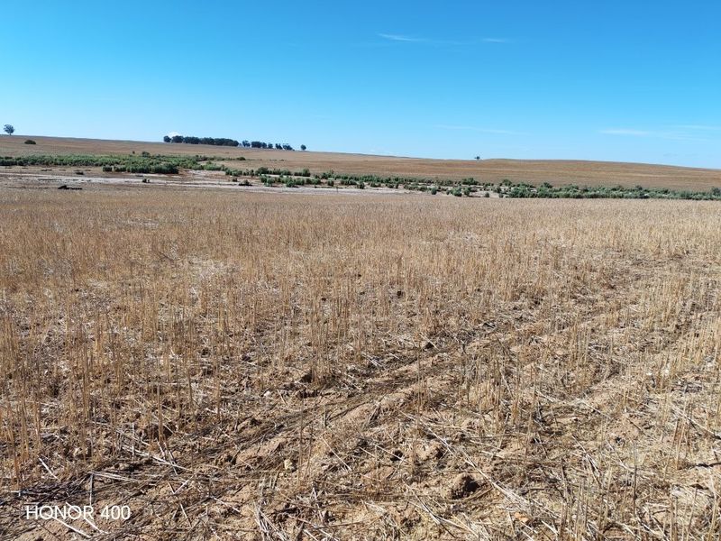 Hopefield: 3 Aangrensende plase te koop per Tender - Photo 2