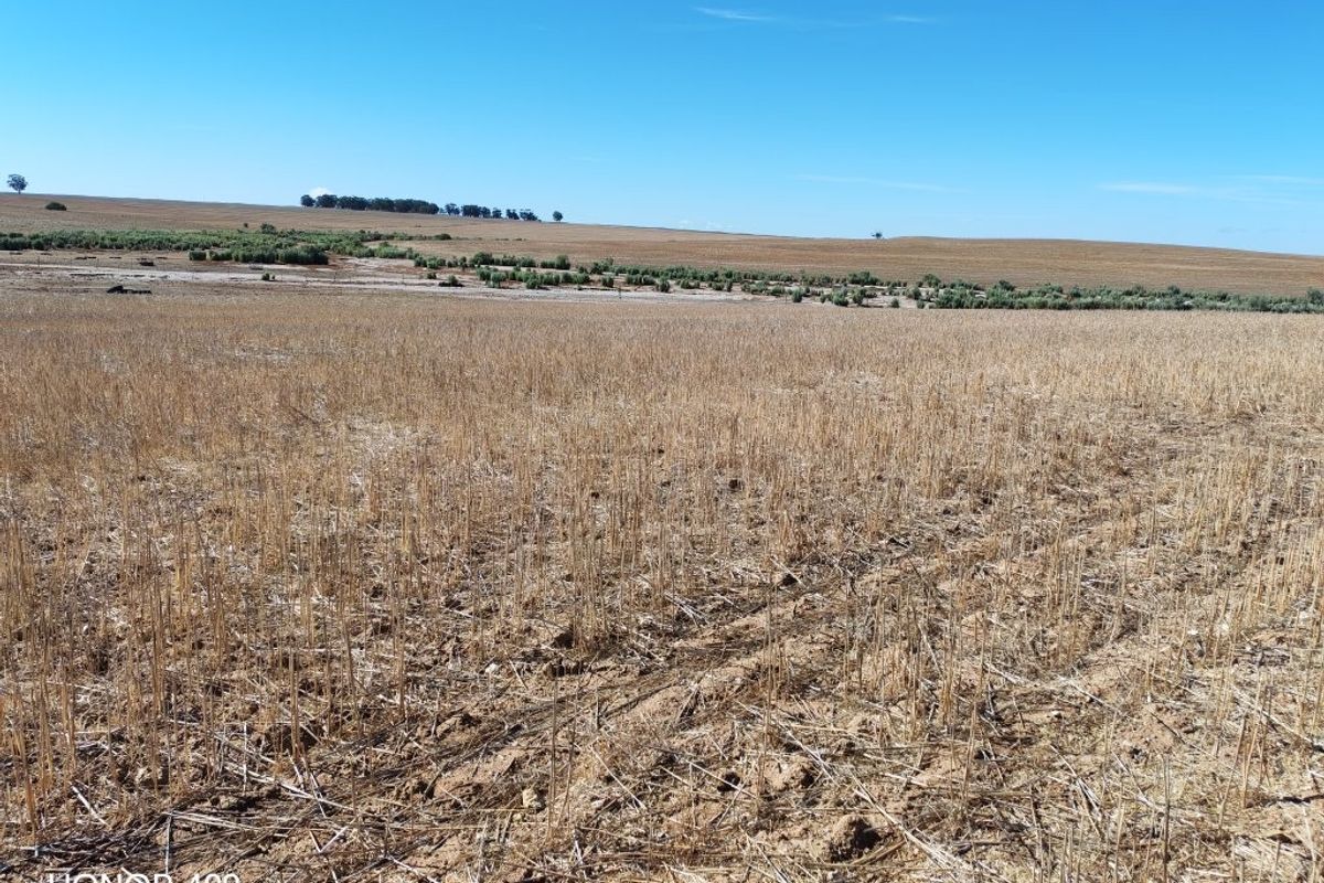 Hopefield: 3 Aangrensende plase te koop per Tender - Photo 2