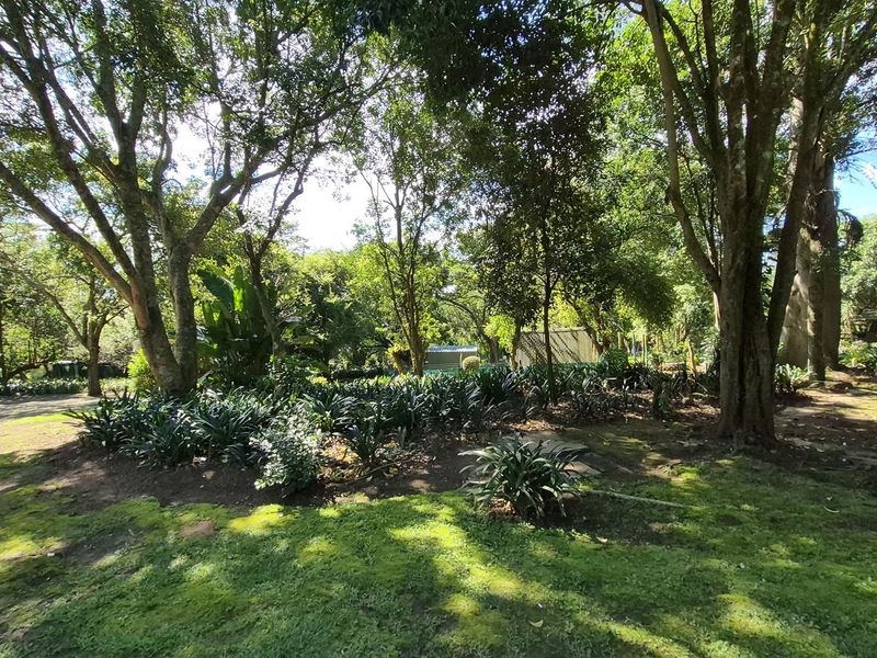 AFRICAN CHARM WEDDING VENUE - Photo 4