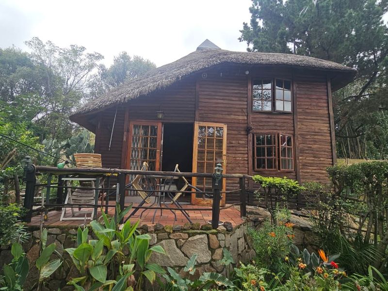 Garden Cottage in Morningside Manor - Photo 3