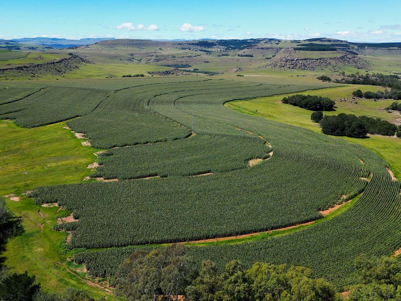 Farm For Sale In Maclear - Photo 10