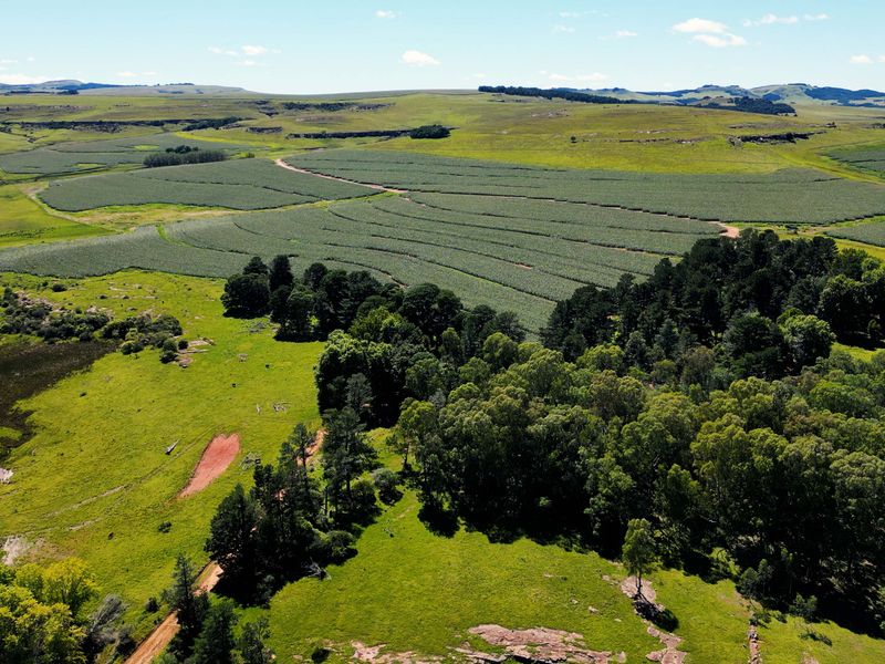 Farm For Sale In Maclear - Photo 7