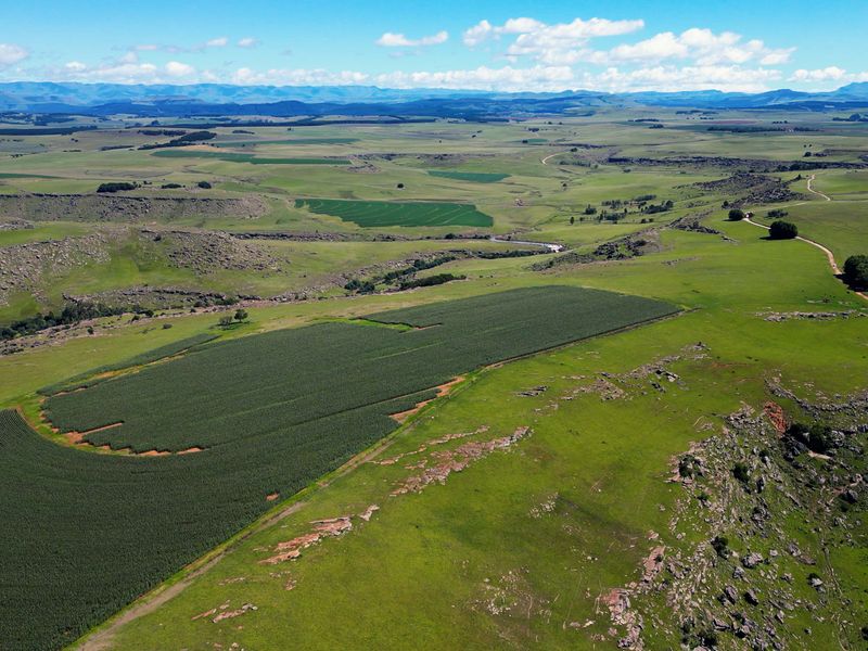 Farm For Sale In Maclear - Photo 6