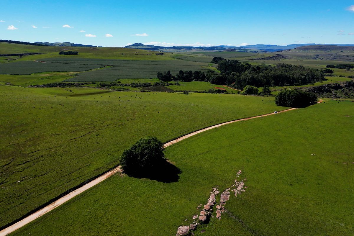 Farm For Sale In Maclear - Photo 2