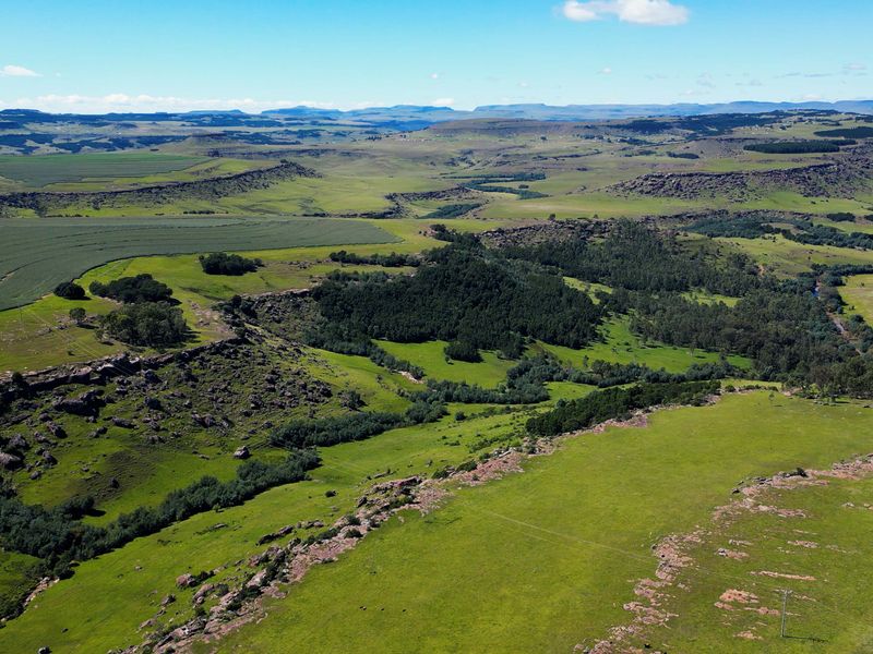 Farm For Sale In Maclear - Photo 4