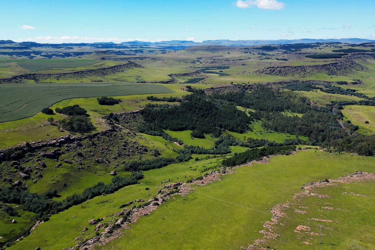 Farm For Sale In Maclear - Photo 4