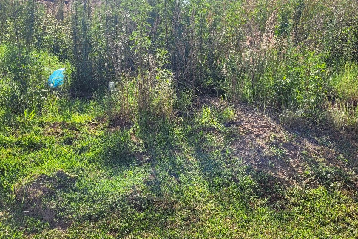 Prime stand in a great area! - Photo 5