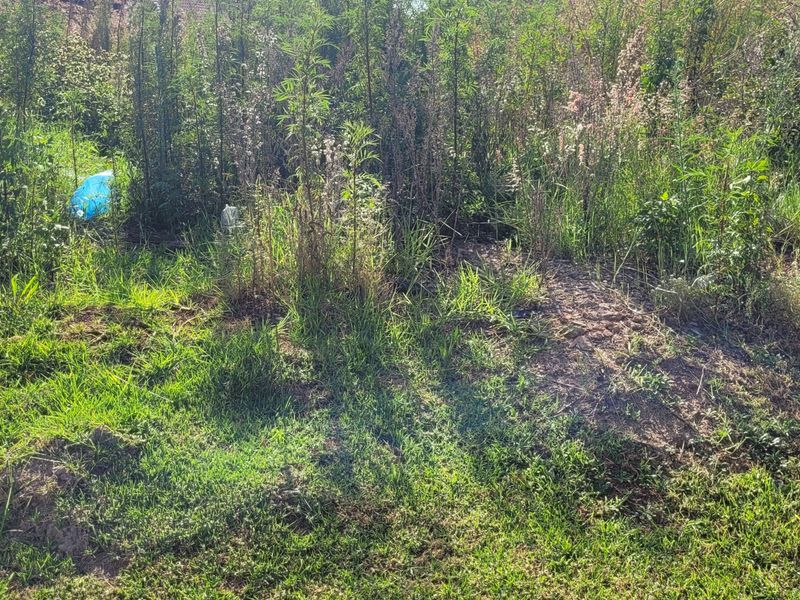 Prime stand in a great area! - Photo 5