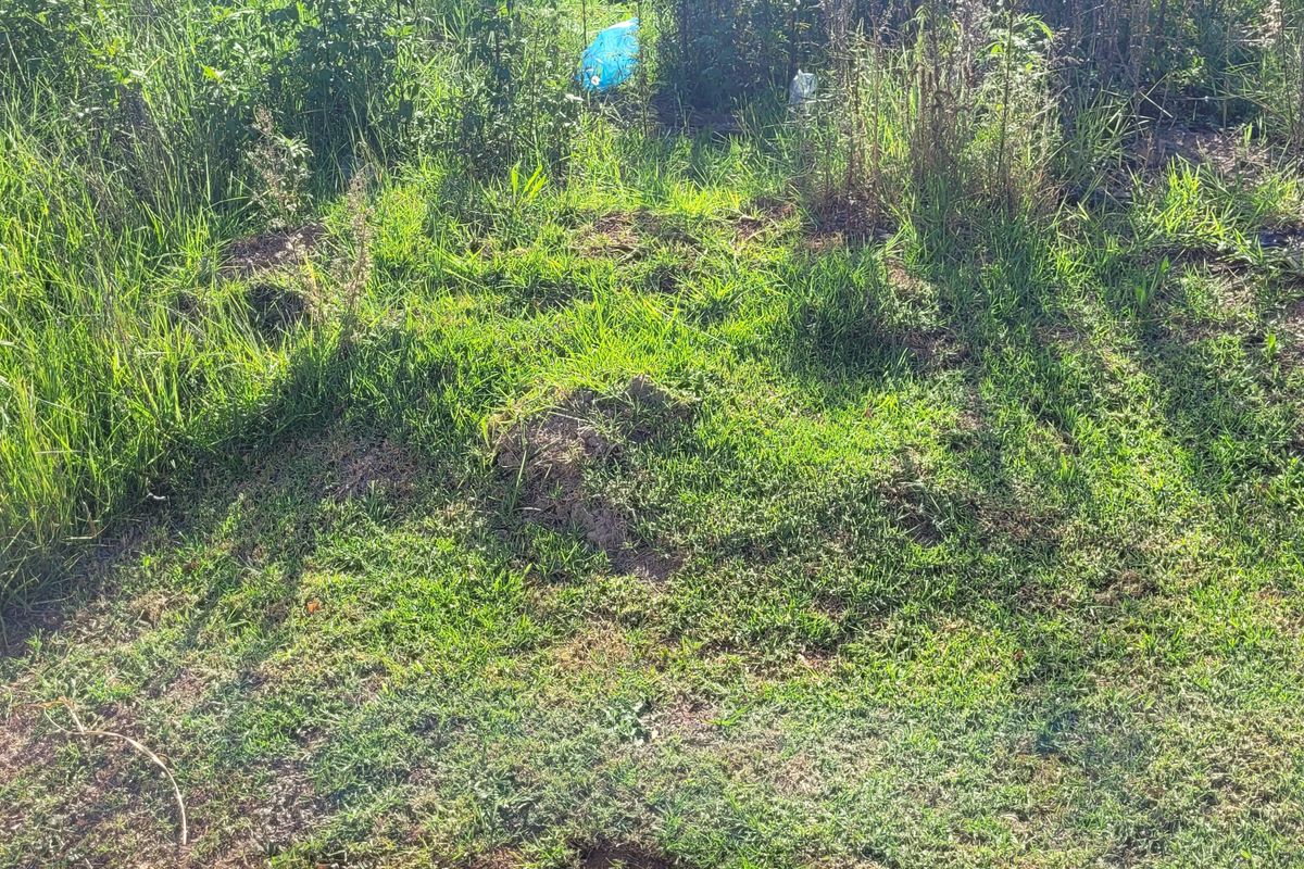 Prime stand in a great area! - Photo 2