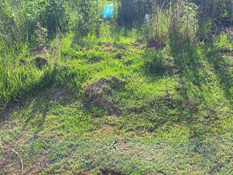 Prime stand in a great area! - Photo 2