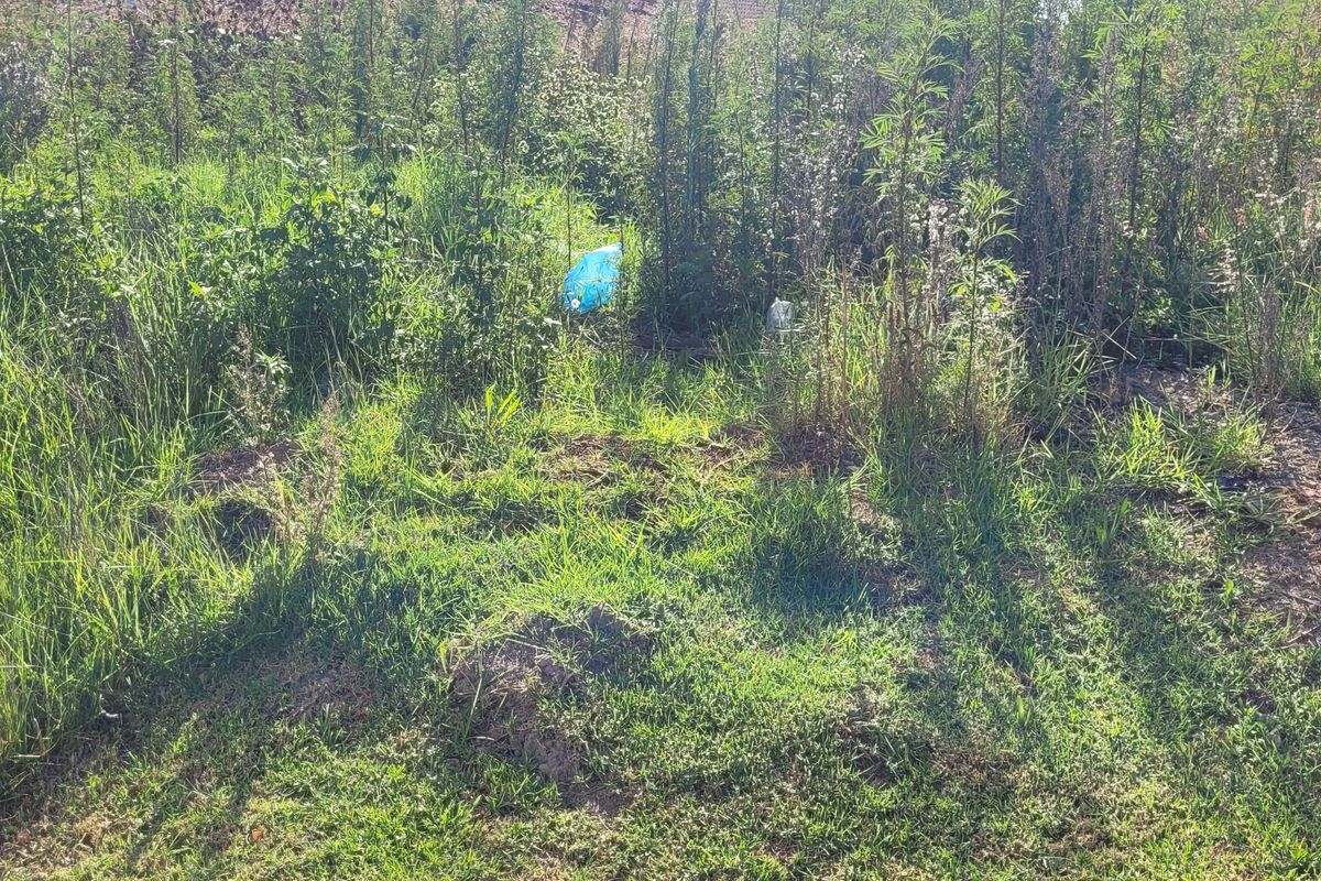 Prime stand in a great area! - Photo 4