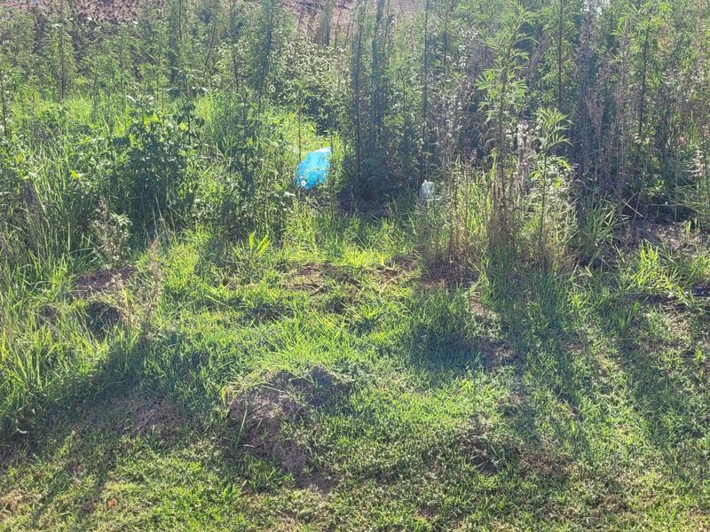 Prime stand in a great area! - Photo 4