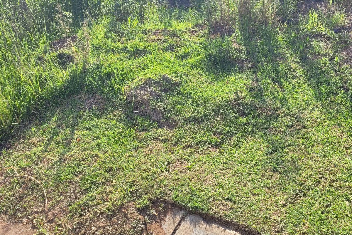 Prime stand in a great area! - Photo 3