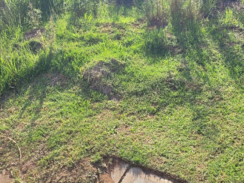 Prime stand in a great area! - Photo 3