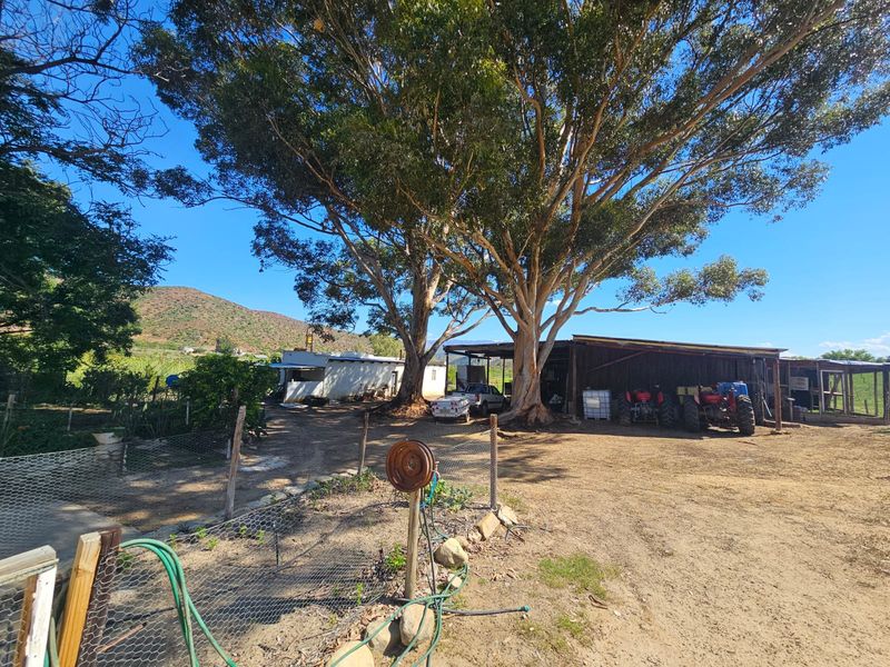 72 Ha Farm for sale in Ladismith Rural - Photo 10