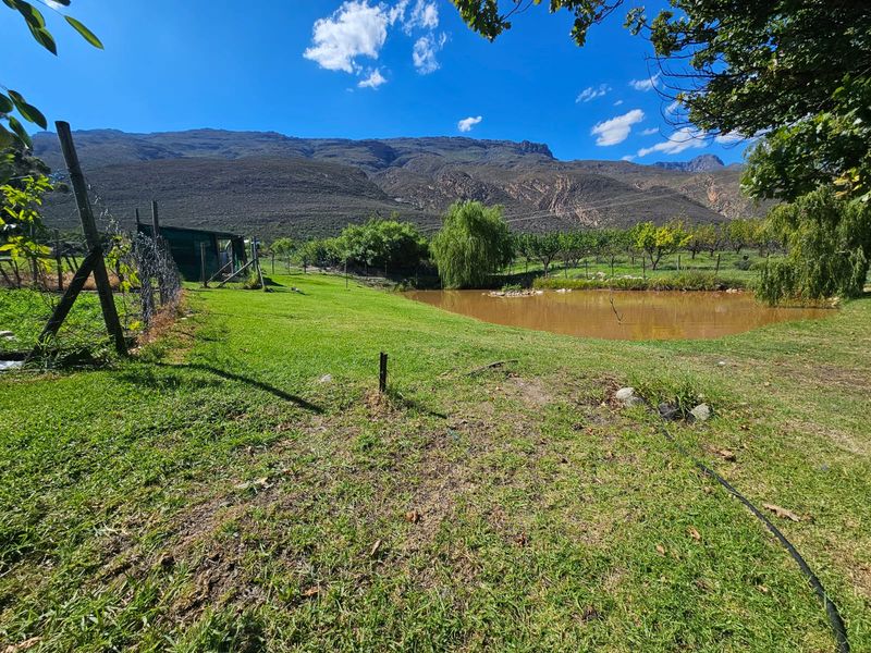 72 Ha Farm for sale in Ladismith Rural - Photo 9