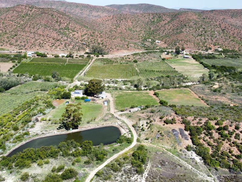 72 Ha Farm for sale in Ladismith Rural - Photo 8