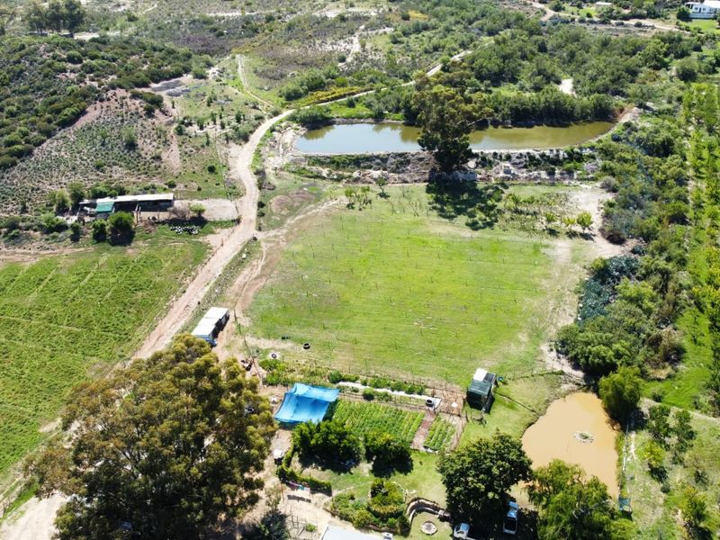 72 Ha Farm for sale in Ladismith Rural - Photo 4