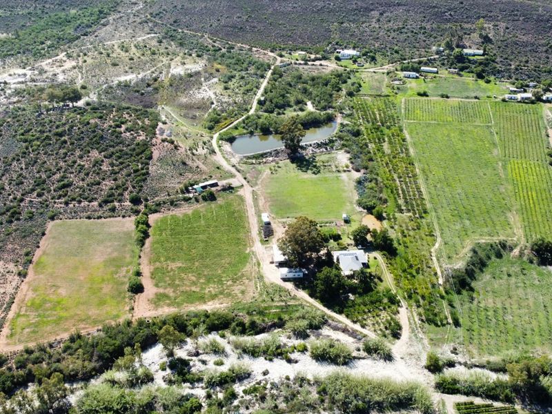 72 Ha Farm for sale in Ladismith Rural - Photo 5