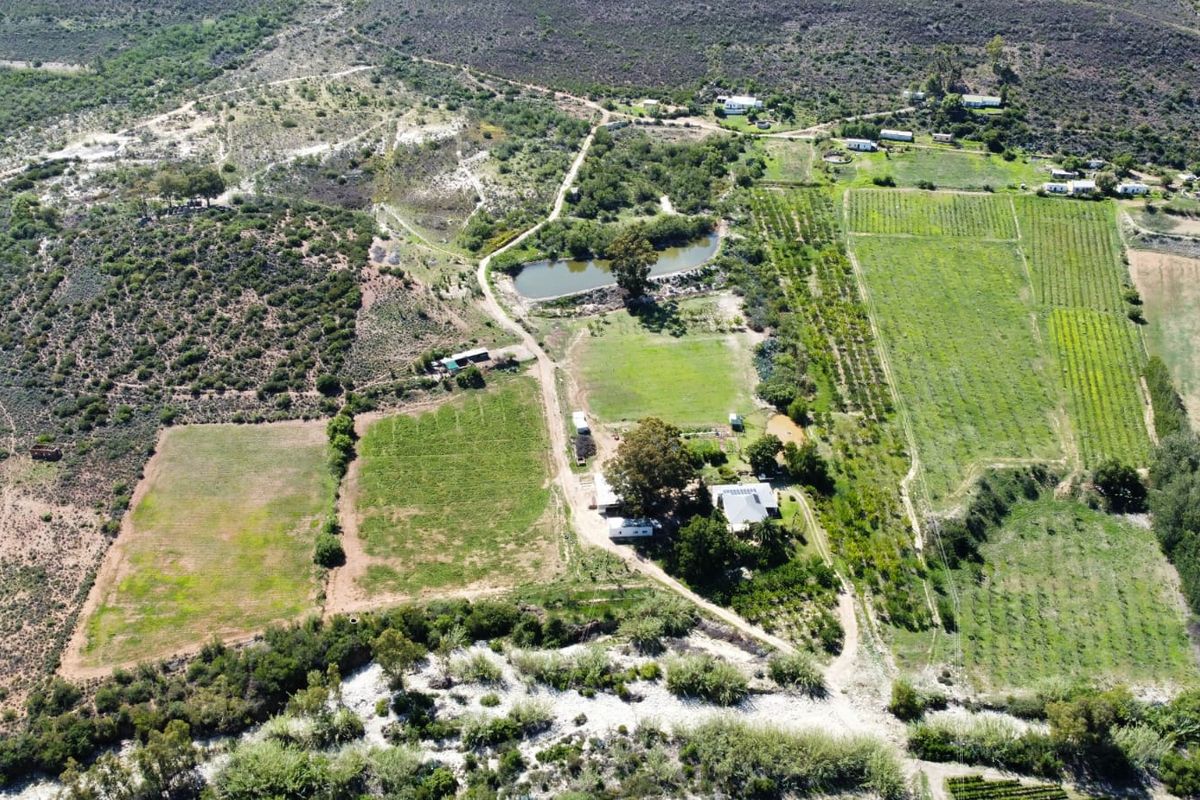 72 Ha Farm for sale in Ladismith Rural - Photo 5