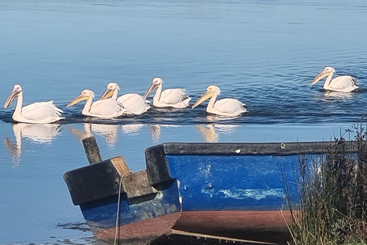 Rare Opportunity: Prime 600m2 Stand in the Beautiful West Coast, Velddrif - Photo 2