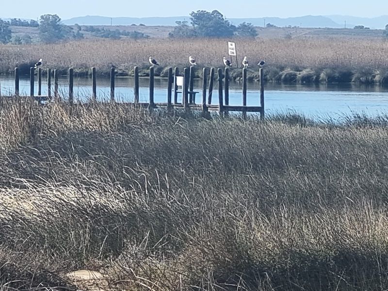 Rare Opportunity: Prime 600m2 Stand in the Beautiful West Coast, Velddrif - Photo 6