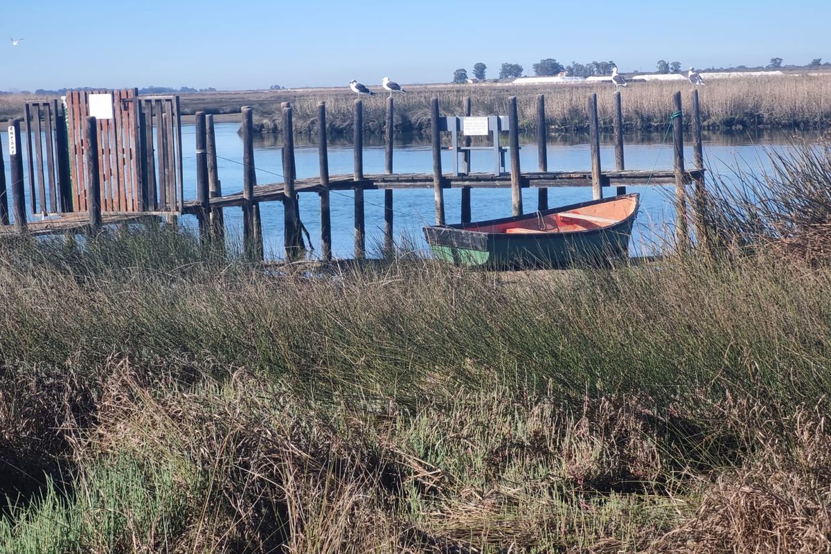 Vacant Land Residential For Sale In Velddrif - Photo 5