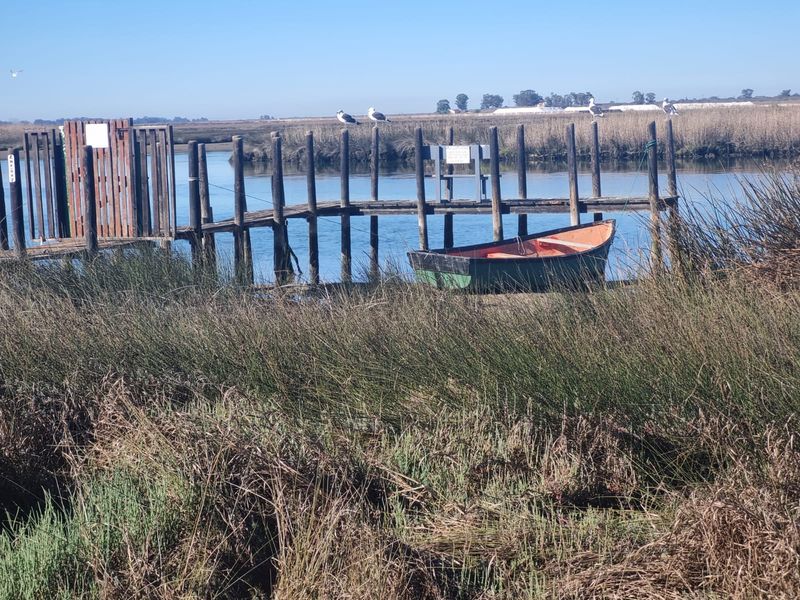 Vacant Land Residential For Sale In Velddrif - Photo 5