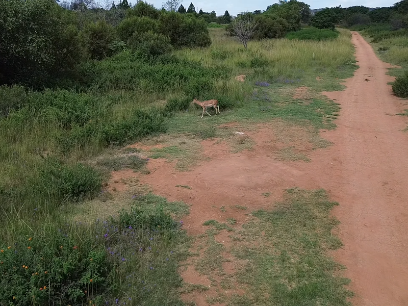 Build Your Dream Bushveld Escape – Phase 2 Now Selling! - Photo 10