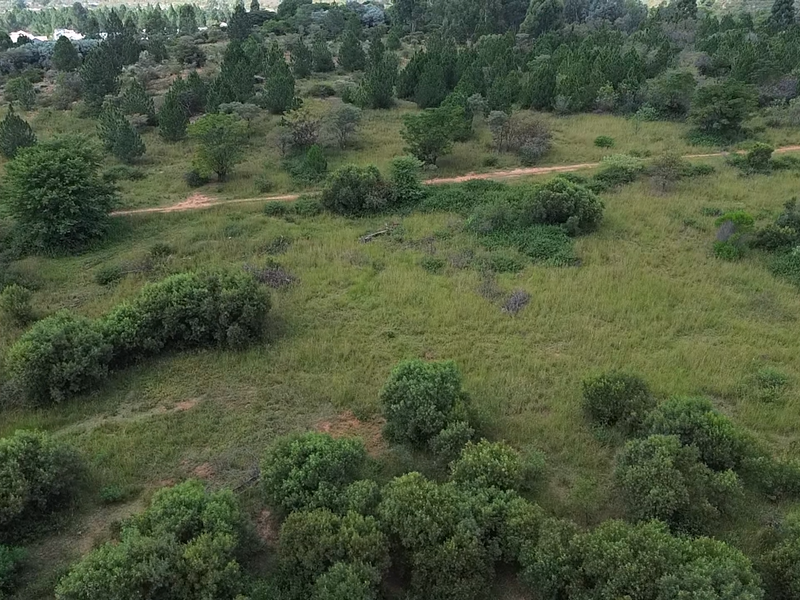 Build Your Dream Bushveld Escape – Phase 2 Now Selling! - Photo 8