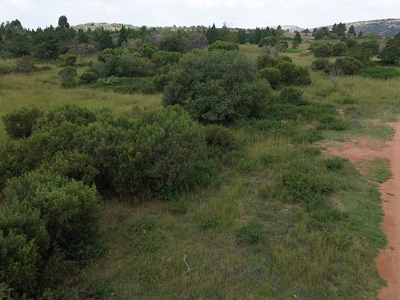 Build Your Dream Bushveld Escape – Phase 2 Now Selling! - Photo 7