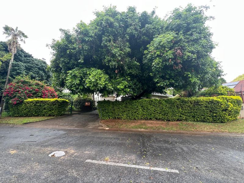 Front view of the property featuring a paved driveway, secure metal gate, and established garden landscaping with mature trees and hedging.
