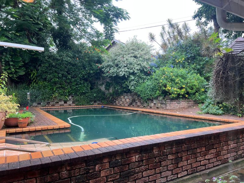 Outdoor swimming pool area featuring a raised brick wall surround and established garden landscaping.